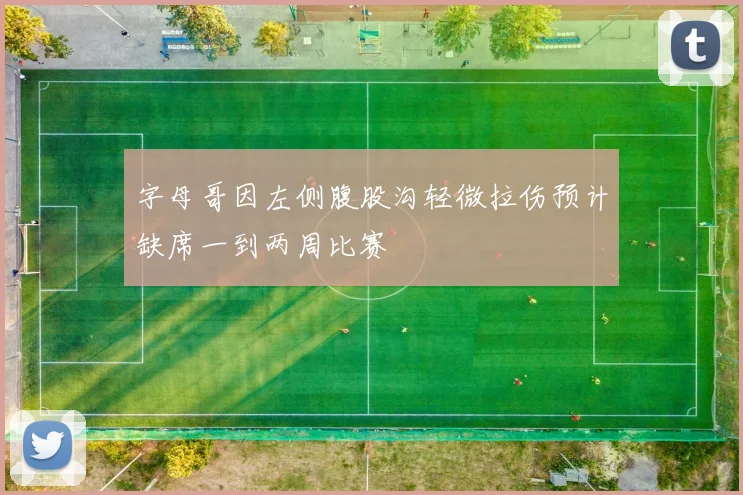 字母哥因左侧腹股沟轻微拉伤预计缺席一到两周比赛