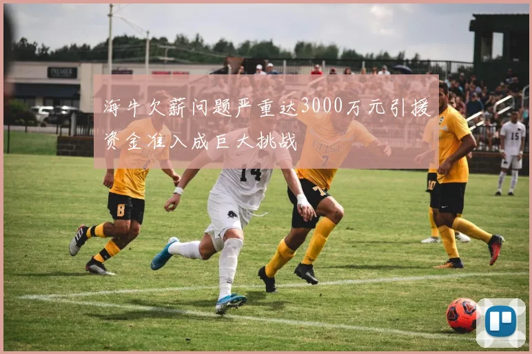 海牛欠薪问题严重达3000万元引援资金准入成巨大挑战