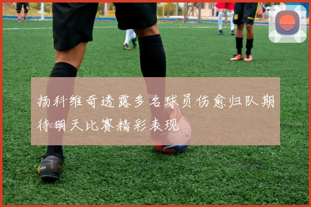 扬科维奇透露多名球员伤愈归队期待明天比赛精彩表现